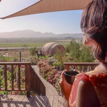 Finca El Mirador Valle de Guadalupe Buitenkant foto