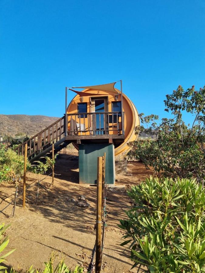 Finca El Mirador Valle de Guadalupe Buitenkant foto