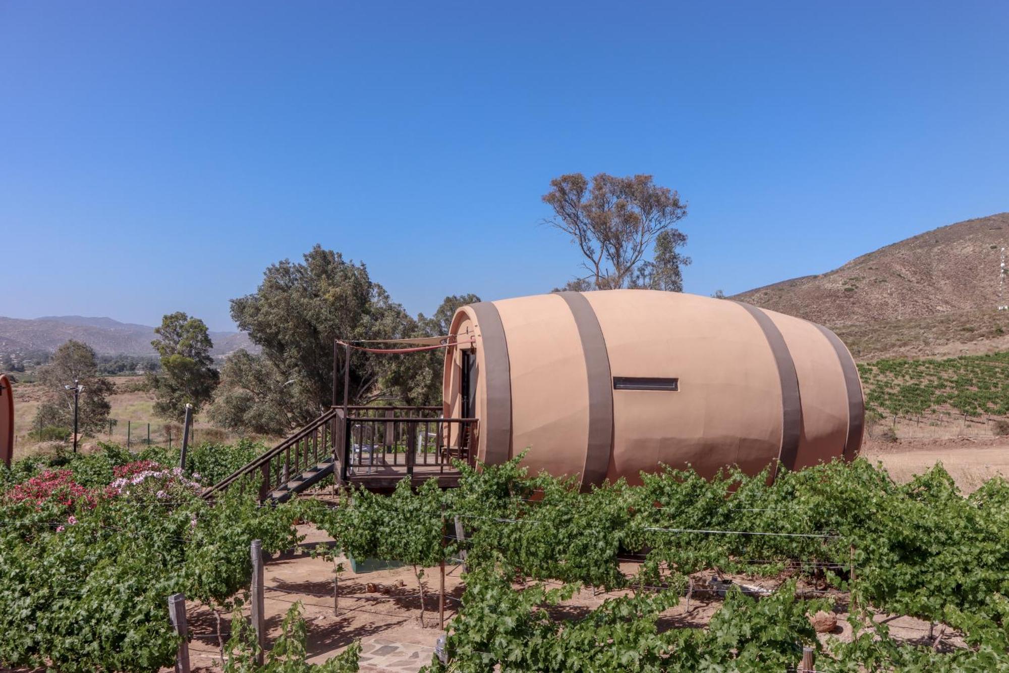 Finca El Mirador Valle de Guadalupe Buitenkant foto