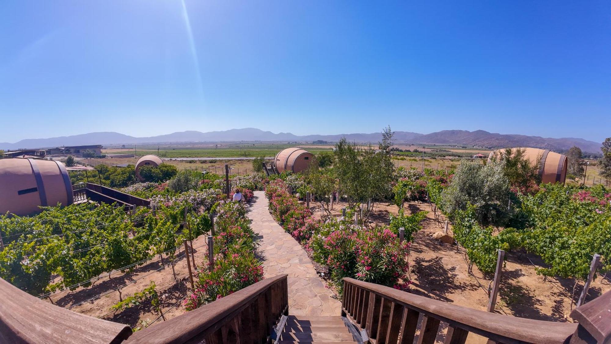 Finca El Mirador Valle de Guadalupe Buitenkant foto
